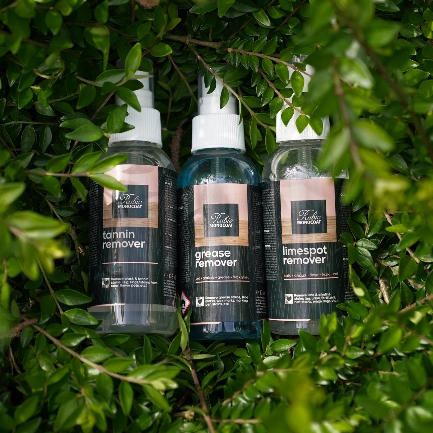 Fleckenentferner-Set