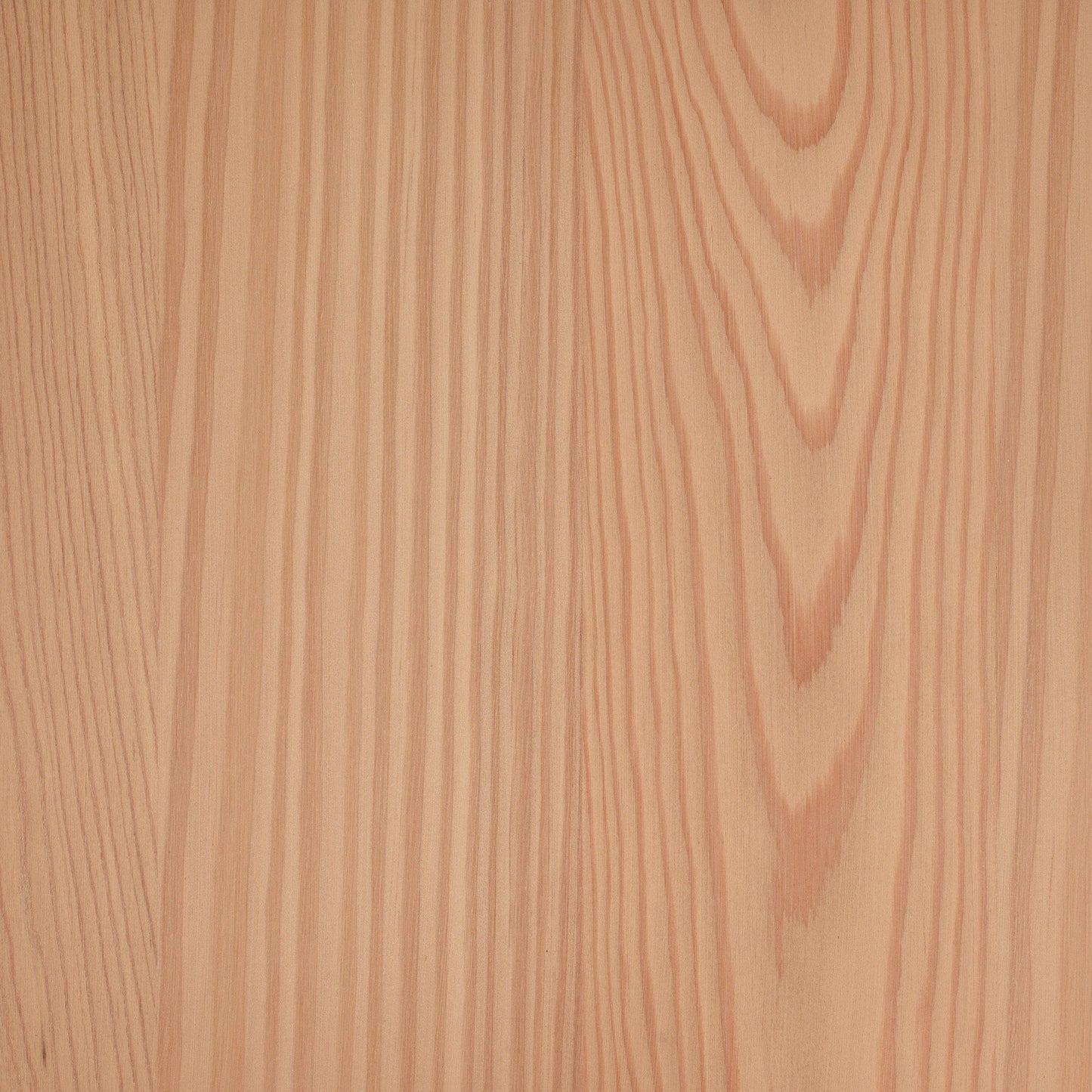 Larch